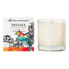 PRIVATE COLLECTION CANDLE 8 OZ - RHUBARB & MINT TEA